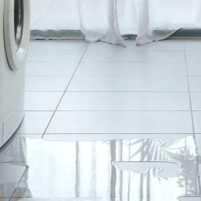 Appliance Leak Cleanup in Cayuga County, NY