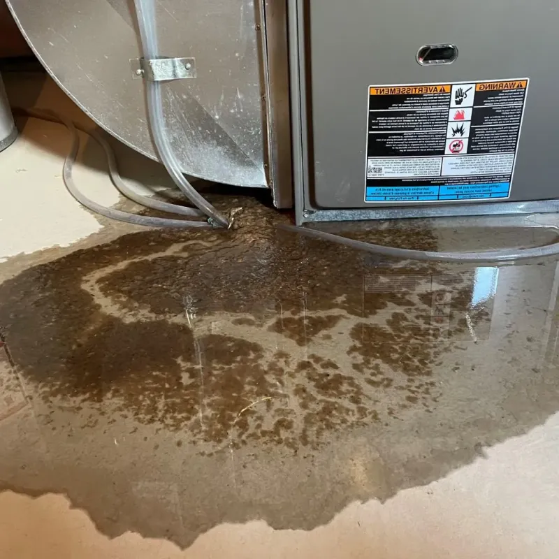 Pipe Burst and Leak Restoration in Cayuga County, NY